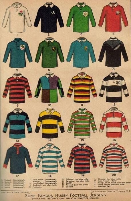 Taurus rugby polo